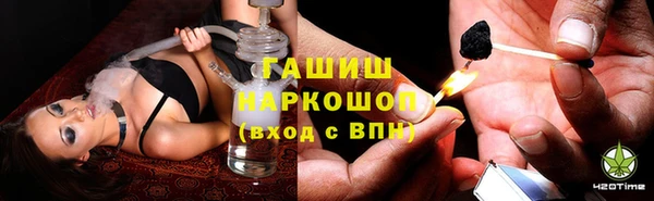 PSILOCYBIN Балабаново