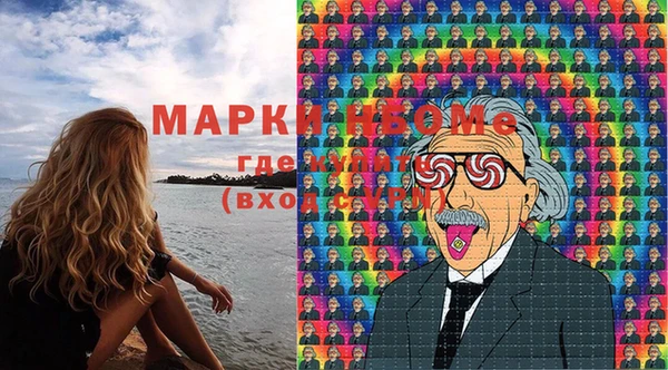 индика Баксан