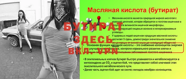 индика Баксан