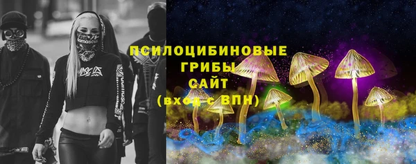 индика Баксан