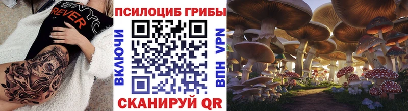 Псилоцибиновые грибы MAGIC MUSHROOMS  Купить  Сураж 