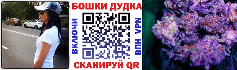 Купить закладки  Сураж  Марихуана SATIVA & INDICA 
